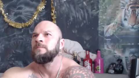 viking online show from March 28, 10:16 am