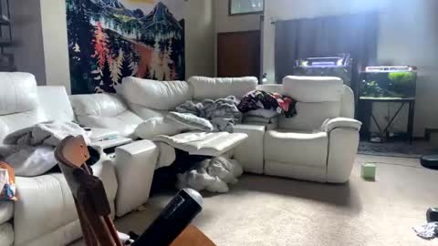 Sanji online show from January 11, 5:29 pm