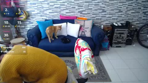 Violeta Gmez online show from April 1, 4:37 pm