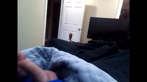 vladedivac1998 online show from October 15, 3:54 am