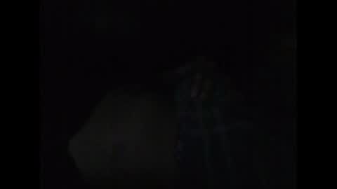 vujadetr online show from February 24, 8:39 am