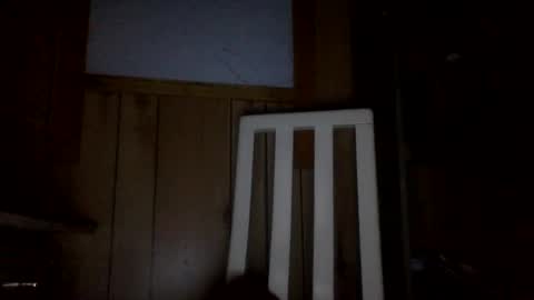 Snapshot of waltbkk chatting on December 23, 3:22 pm Walter online show from December 23, 3:22 pm