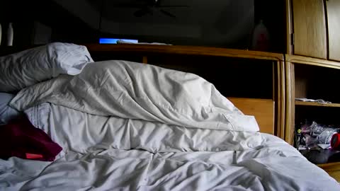 wantingu2john online show from September 22, 2:10 pm