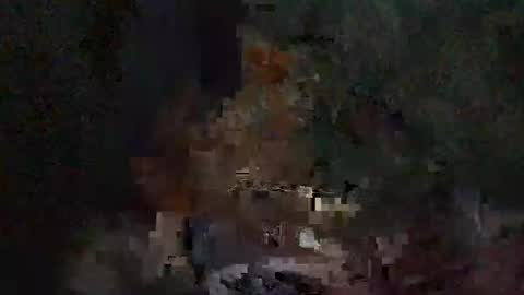 whinebae online show from March 7, 8:09 pm