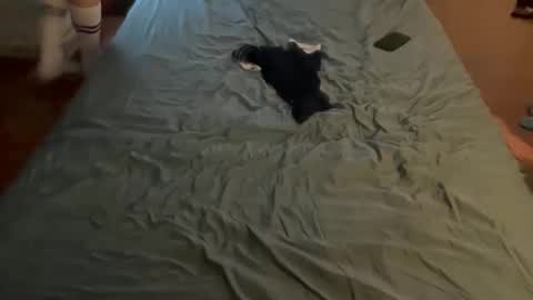 white_bubble online show from April 18, 6:43 pm