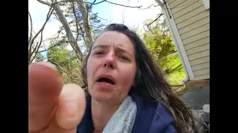 Miss Dior online show from October 28, 2:29 pm