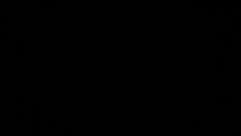 wholesomebull00 online show from July 2, 3:44 am
