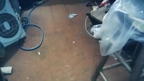 wildman6 online show from February 21, 8:12 pm