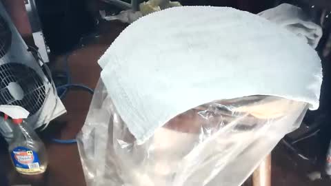 wildman6 online show from March 7, 8:09 pm