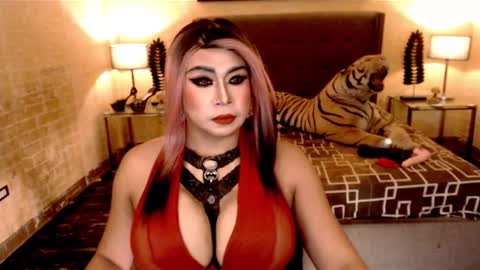wildtransjhade online show from January 19, 6:43 pm