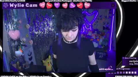 Snapshot of wildwylie chatting on February 28, 2:53 am Wylie Wanderlust online show from February 28, 2:53 am