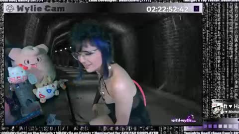 Snapshot of wildwylie chatting on January 15, 4:57 am Wylie Wanderlust online show from January 15, 4:57 am