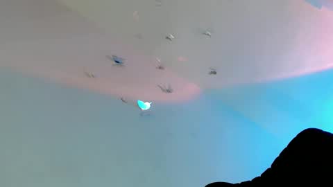 LE XI online show from February 5, 11:30 pm