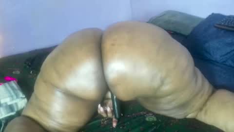 wilmaassylum online show from October 21, 7:46 am