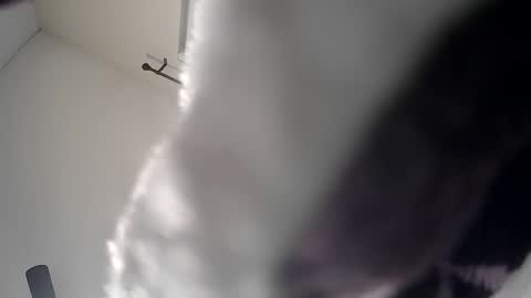 WoodCouldShould86 online show from January 15, 8:34 am