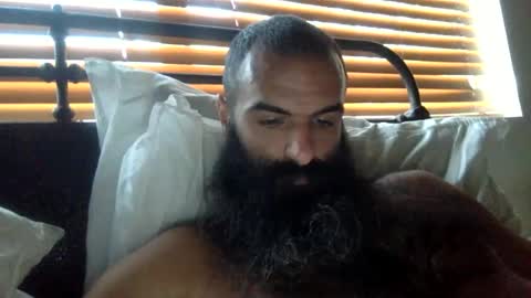 woof_wolf37 online show from February 1, 3:20 pm