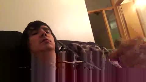 Zack online show from January 8, 8:27 am