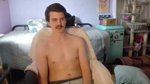 Wyatt online show from November 15, 8:21 pm