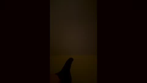 xemo413x online show from July 31, 4:24 am