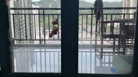 xinbao799322 online show from July 9, 9:24 am