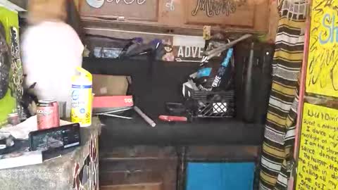 XXXQueenMandyDickenz online show from November 9, 11:40 pm