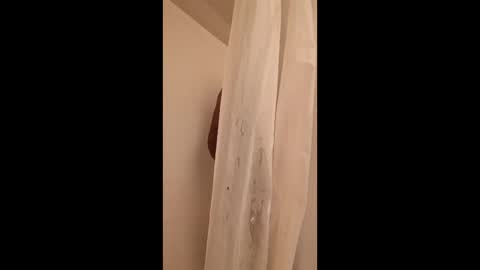 yabgroe online show from April 16, 3:06 am