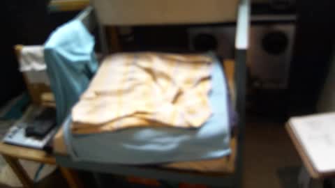 .     y e l l o w s n a k e s       . online show from February 1, 7:11 pm