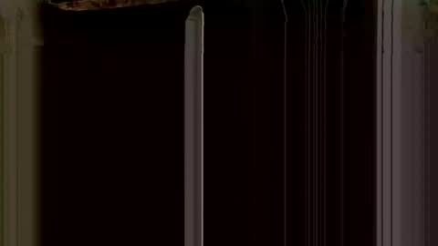 Giannis online show from March 3, 7:37 am