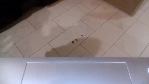 yungnhungg89 online show from January 18, 2:36 am