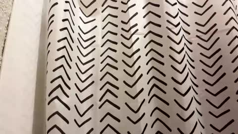 yungstudbev online show from March 21, 1:05 pm