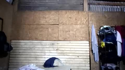 zamora533608 online show from January 9, 1:11 am