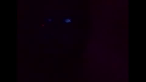 Ziggy online show from December 4, 8:50 am