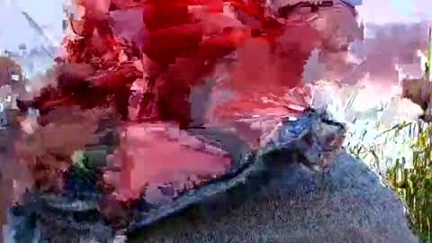 Snapshot of zoeoved92 chatting on September 29, 11:04 pm zoeoved92 online show from September 29, 11:04 pm