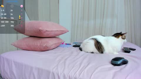 zoey  Independent model online show from October 7, 11:56 pm