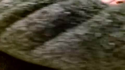 zolexthomas online show from January 28, 5:35 pm