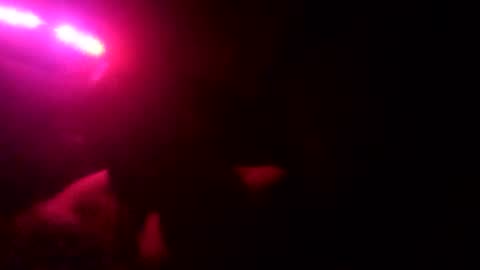 zolopak69 online show from March 26, 10:09 am