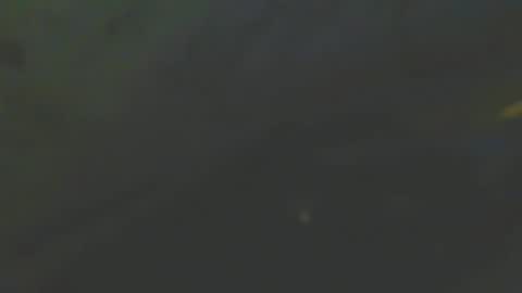 zomma44 online show from March 4, 2:19 am